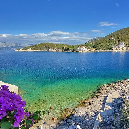 Apartment Apartments By The Sea Cove Pokrivenik, Hvar - 2073